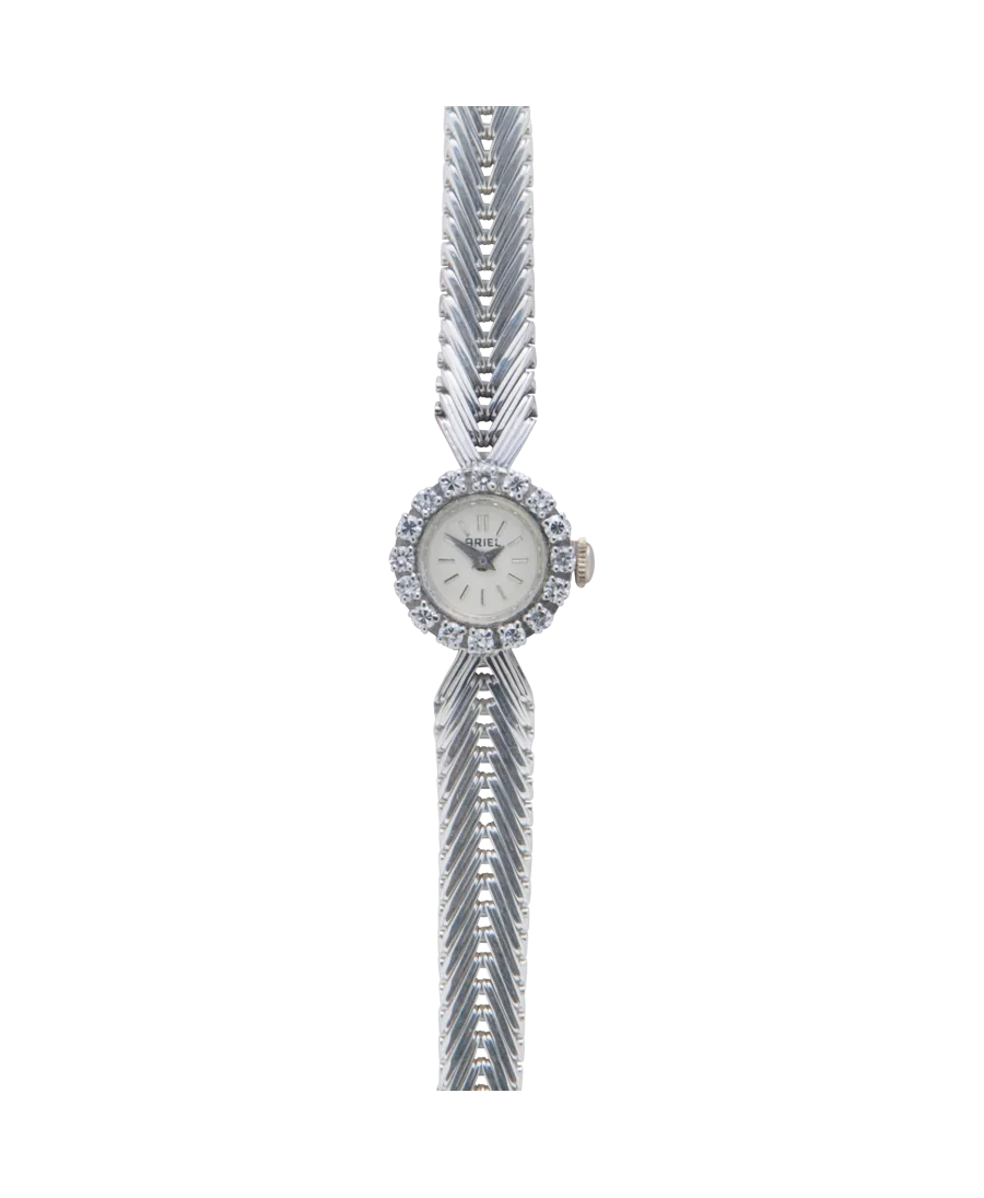 WHITE MARGUERITE | ARIEL