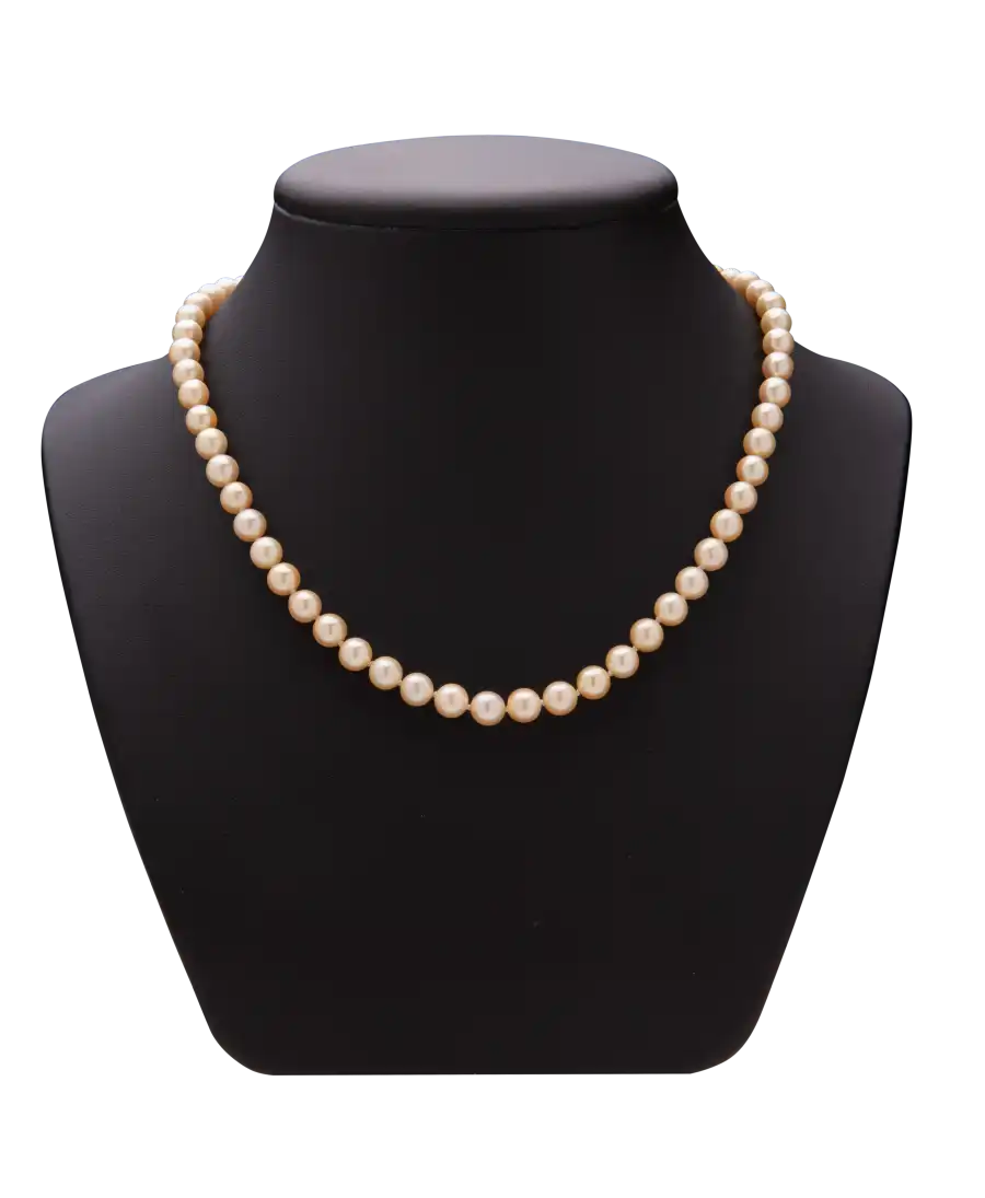 PERLES RARES | AA+